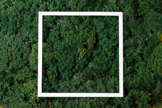 Quadro branco sobre fundo natural de musgo verde Espaço de cópia plano