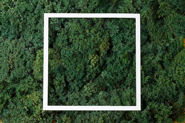Quadro branco sobre fundo natural de musgo verde Espaço de cópia plano