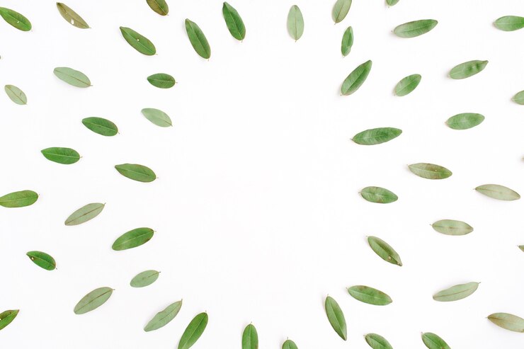 Foto quadro com pétalas verdes isoladas no fundo branco.
