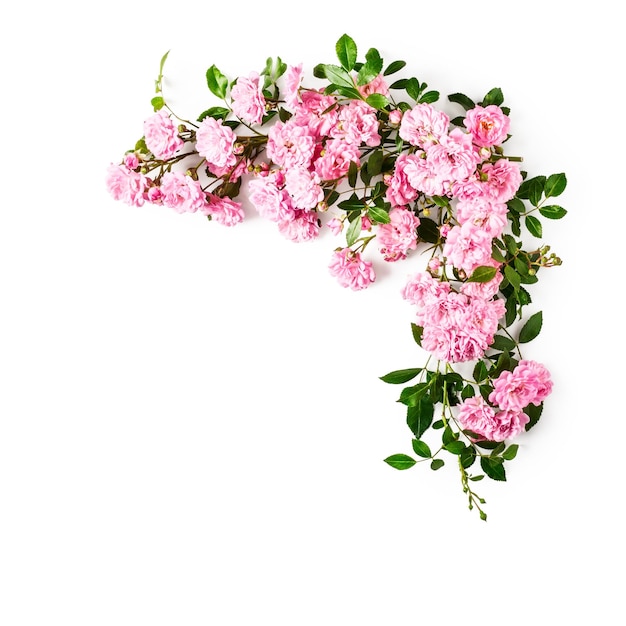 quadro com rosas cor de rosa