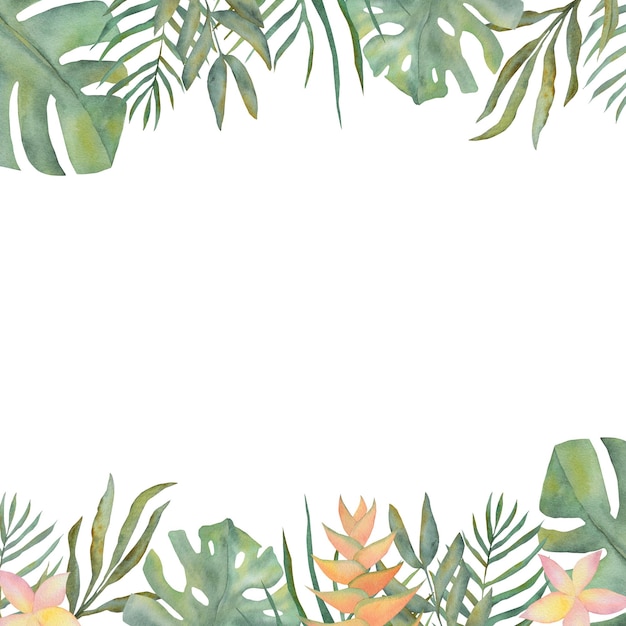 Quadro de aquarela com folhas verdes Aquarela de folhas verdes desenho de fundo Ramo de acuarela