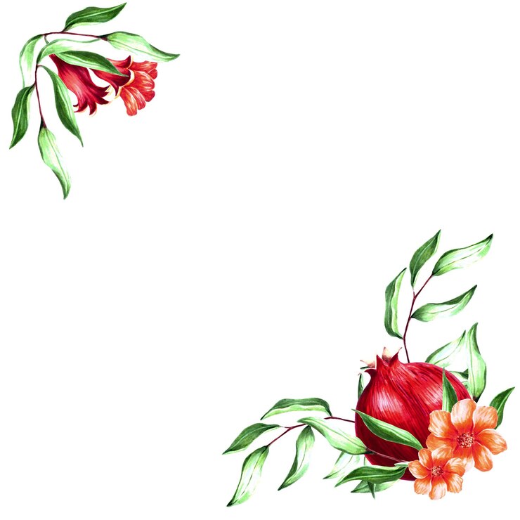 Foto quadro de borda de ilustração de marcador desenhado à mão de romã com folhas de brotos e flores