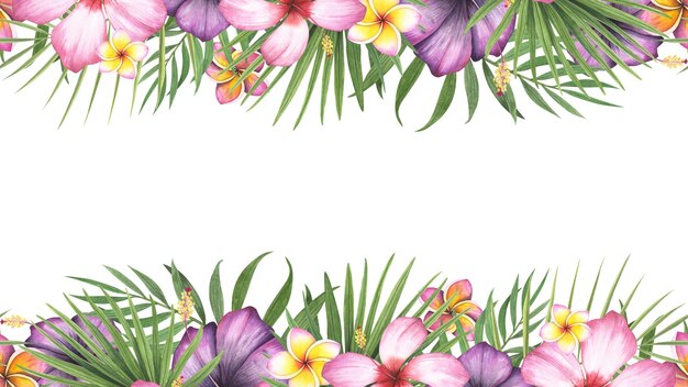 Quadro de borda sem costura planta tropical palmeira hibiscus plumeria flor isolada fundo branco aquarela ilustração botânica desenhada à mão arte para design bandeira modelo de beleza relaxamento spa