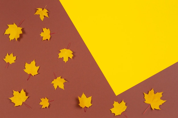 Quadro de composição de outono feito de folhas de bordo de outono em fundo marrom e amarelo