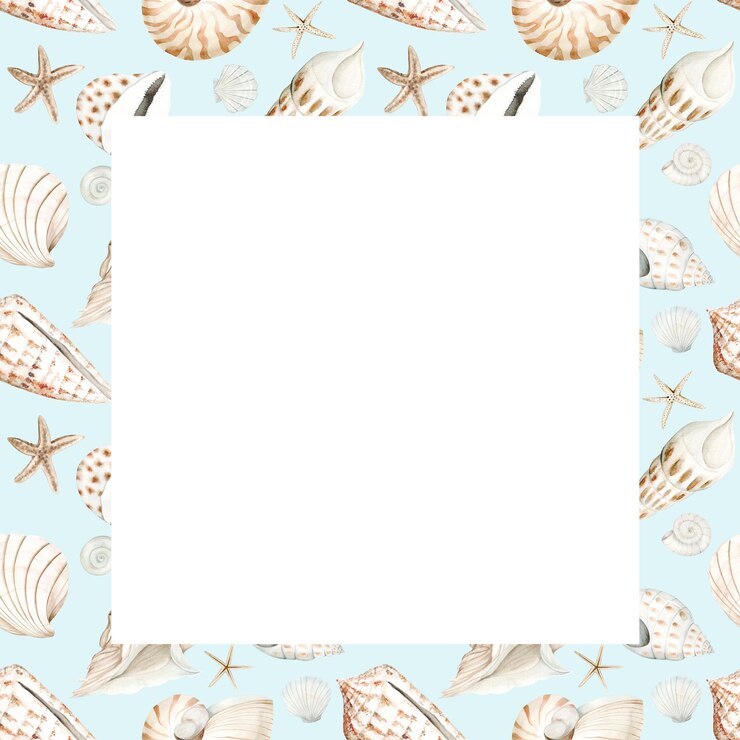 Foto quadro de conchas marinhas e seixos padrão de aquarela pintado à mão amêijoas marinhas e seixos para náutica