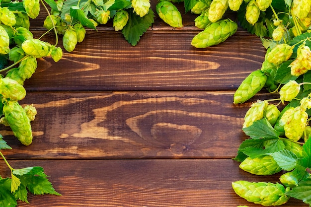 Quadro de cones de lúpulo em fundo de madeira rústico Ingrediente para produção de cerveja