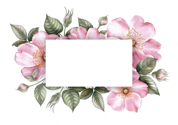 Quadro de flor rosa sakura