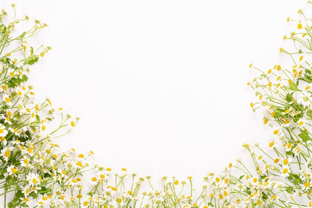 Foto quadro de flores de camomila