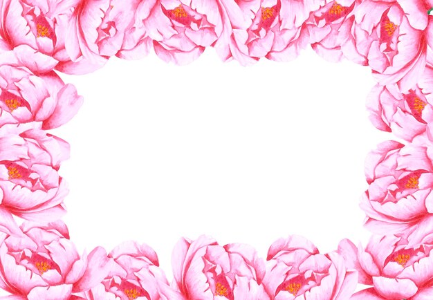 Quadro de flores de peônia rosa aquarela desenhada à mão no fundo branco