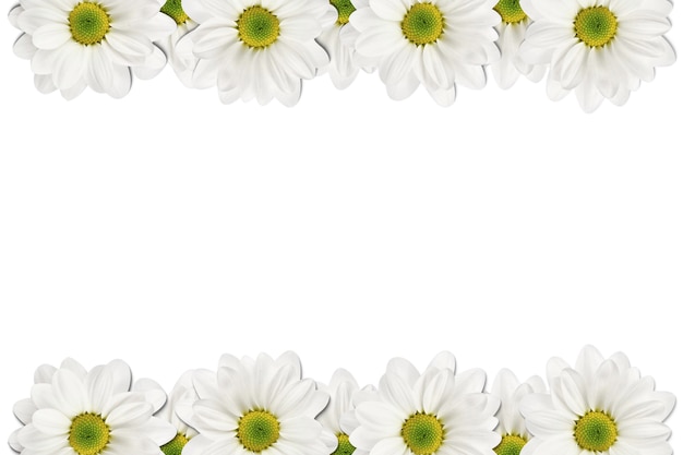 Foto quadro de flores em fundo branco