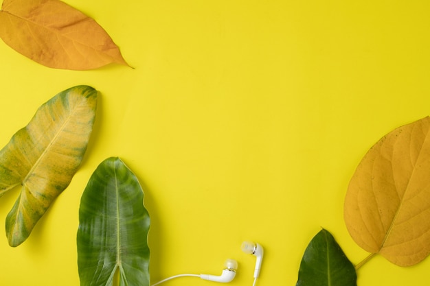 Quadro de folhas com espaço de cópia em amarelo.