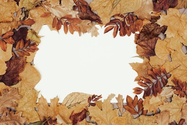 Foto quadro de folhas de outono com cartão de papel branco em branco flat lay espaço de cópia do conceito de outono