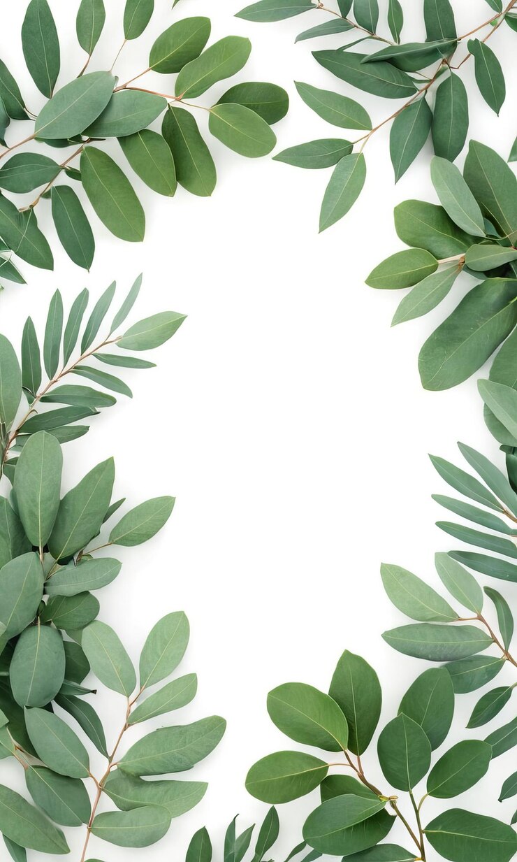 Foto quadro de galhos de eucalipto folhas verdes sobre um fundo branco conceito para cartões cartões de saudação