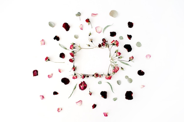 Quadro de grinalda com rosas, eucalipto, galhos, folhas e pétalas isoladas em branco