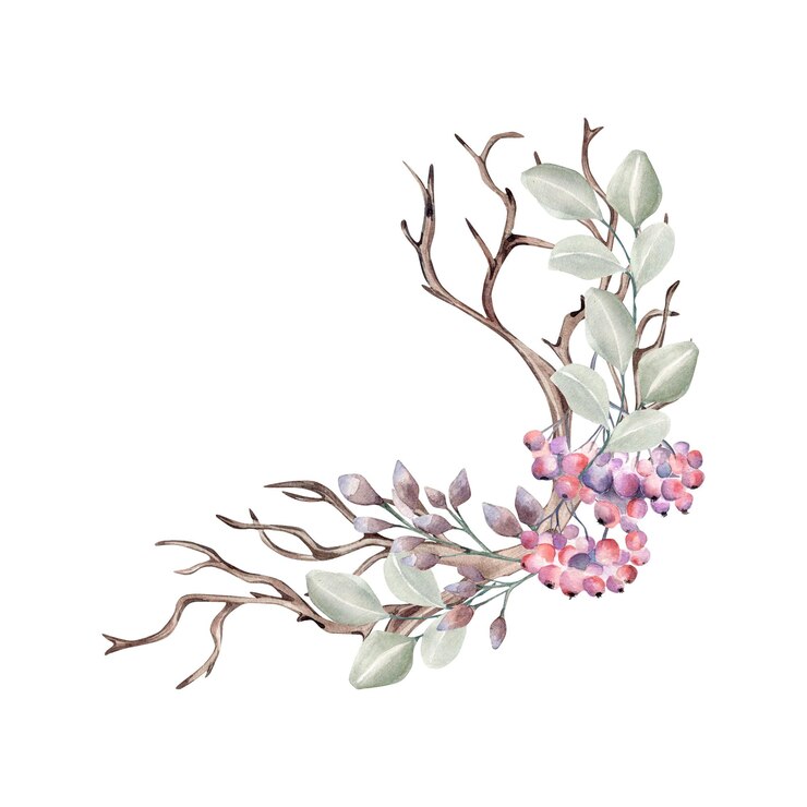 Foto quadro de ilustração em aquarela de plantas de inverno isolada em branco