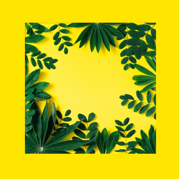 Quadro de natureza criativa feito de folhas tropicais e flores em amarelo