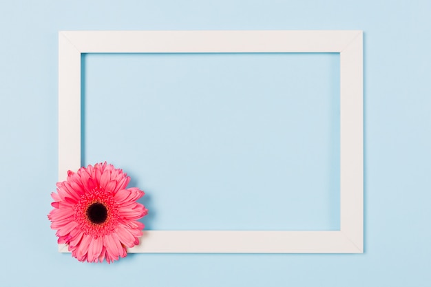 Foto quadro em branco vazio quadro branco com flor rosa no canto sobre fundo azul claro