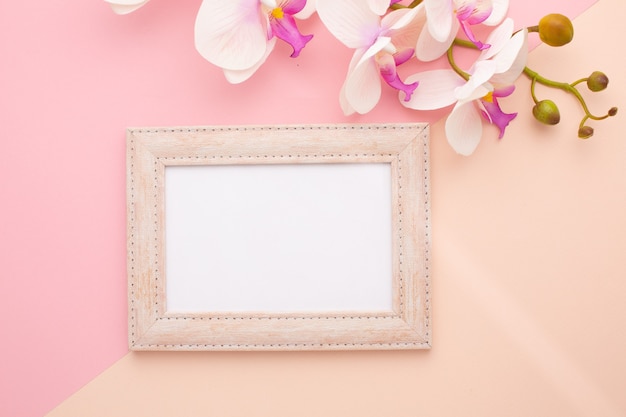 Quadro em fundo rosa com orquídea com lugar para texto. Foto de alta qualidade