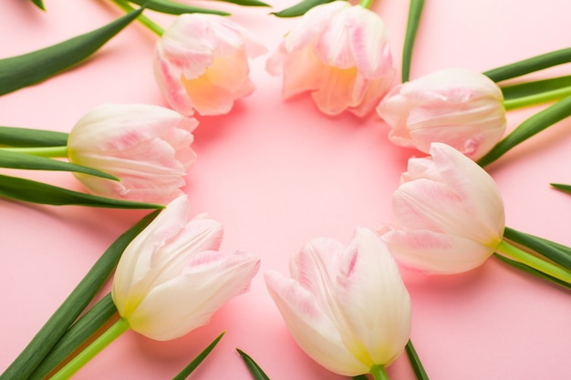 Quadro floral com flores de tulipas em rosa pastel