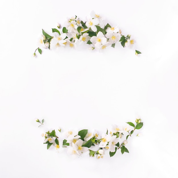 Quadro floral em branco. Composição de flores de jasmim brancas. Tempo de primavera.