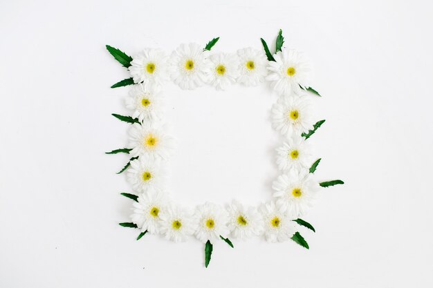 Foto quadro floral feito de flores de camomila branca e margarida, folhas verdes em branco