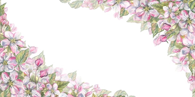 Quadro horizontal de flores e folhas de maçã rosa Ilustração de aquarela Para registro e design de convites para um casamento uma festa romântica um anúncio de certificado de salão de beleza