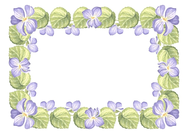 Quadro horizontal de violetas selvagens com folhas verdes isoladas ilustração em aquarela desenhada à mão de