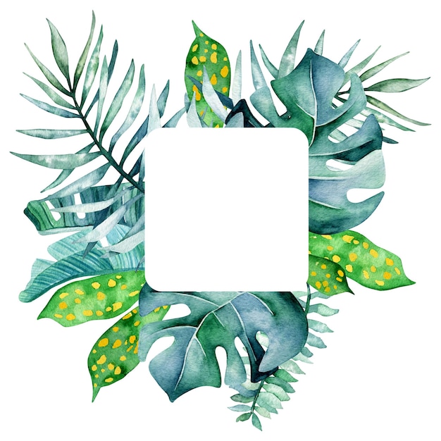 Foto quadro quadrado de aquarela para texto com folhas tropicais folhas de banana desenhadas à mão palmeira monstera e outras plantas tropicais