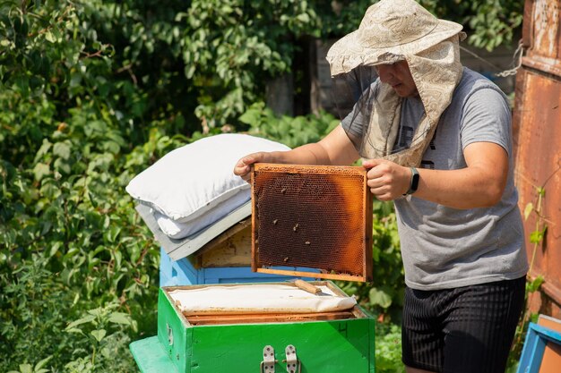 Quadro seco escuro com favos de mel nas mãos de um apicultor O apicultor tira os quadros da colmeia para inspecionar o trabalho do enxame no apiário
