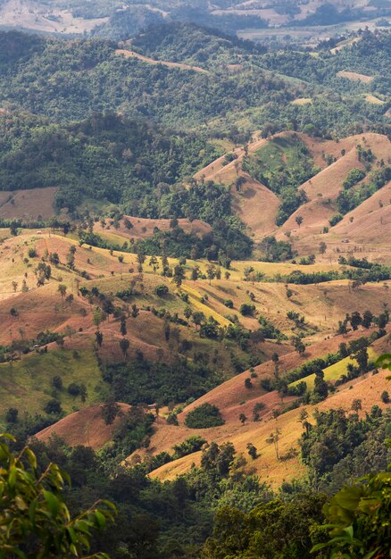 Quando as montanhas se tornam campos de milho. é triste ver