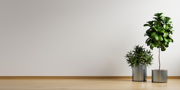 Quarto vazio branco com planta no interior da sala de estar