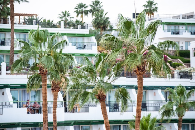 Quartos de hotel de luxo com vista para as palmeiras