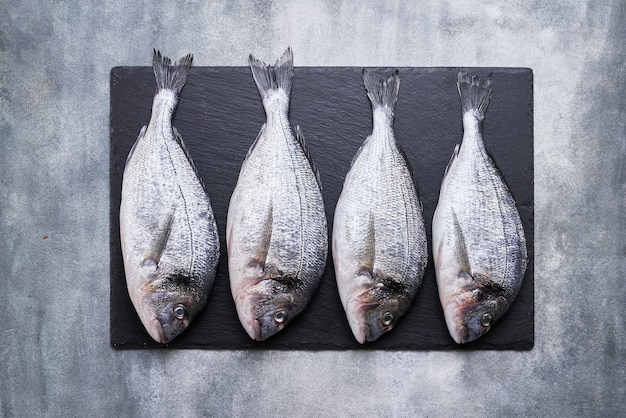 Quatro Fresh Royal Dorades em fundo cinza de concreto. Conceito de comida saudável. Vista superior, copie o espaço. Conceito de frutos do mar mediterrâneo