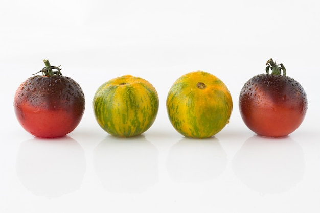 Quatro tomates de cores diferentes com gotas de água alinhados em uma linha branca