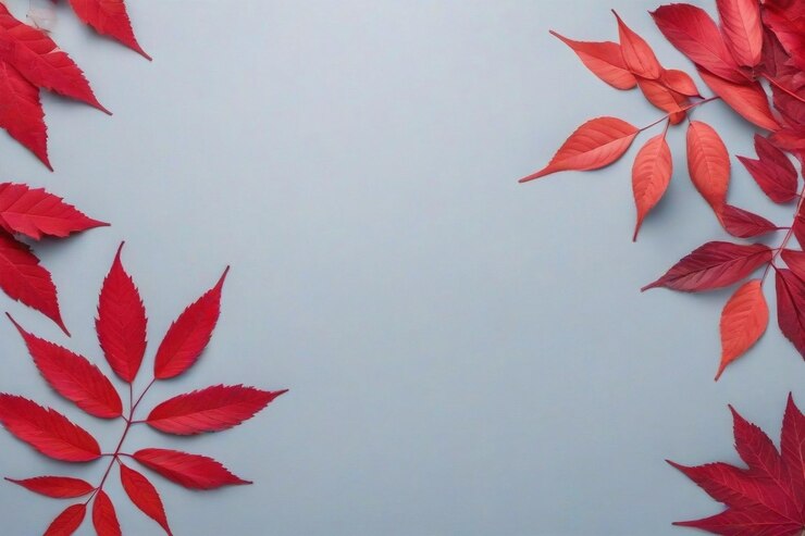 que deja el fondo de otoño con espacio de copia