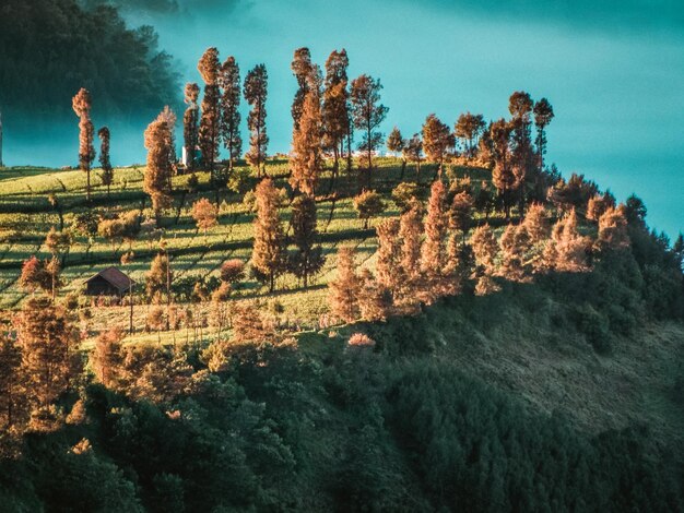 Foto qué hermoso, bromo.