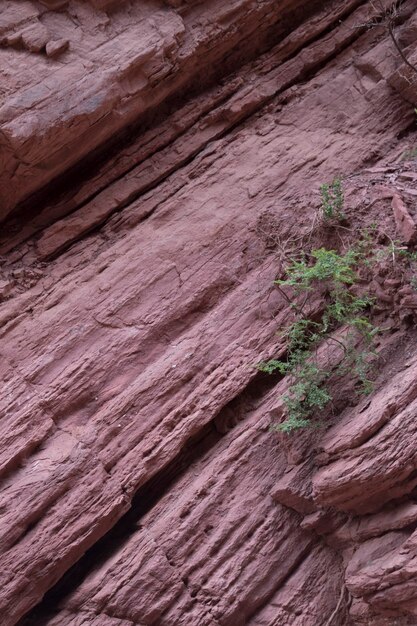 Foto quebrada las conchas valles calchaquies salta argentina