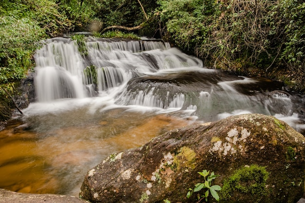 Queda de água na floresta