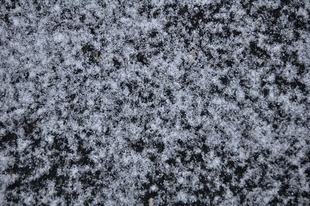 Queda de neve e flocos de neve cobertos de grama na terra no topo da montanha na aldeia de Tschlin Ramosch nos Alpes na temporada de inverno do vale de Samnaun ou Samingun em Graubunden Suíça