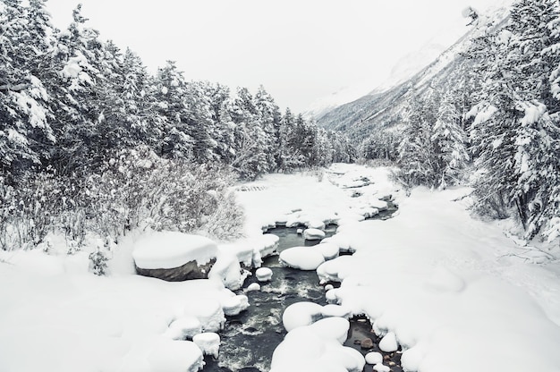 Queda de neve no rio. Bela paisagem de inverno.