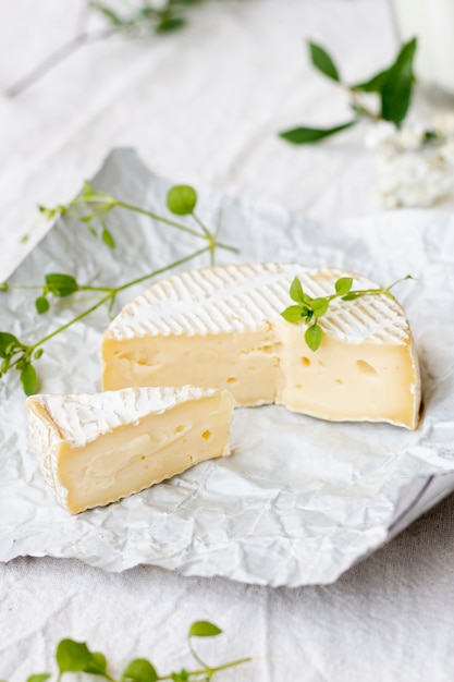 Foto queijo brie delicioso com close-up