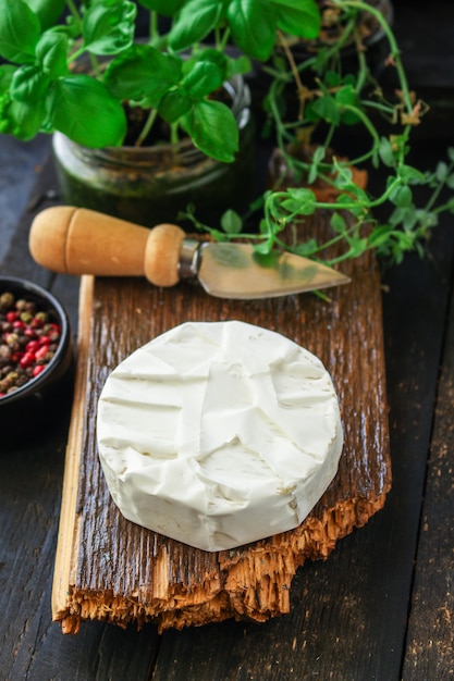 Queijo camembert ou brie