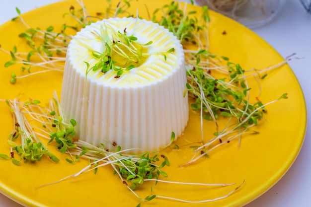 Foto queijo fresco e brotos de alfafa tenros para uma dieta saudável e saudável