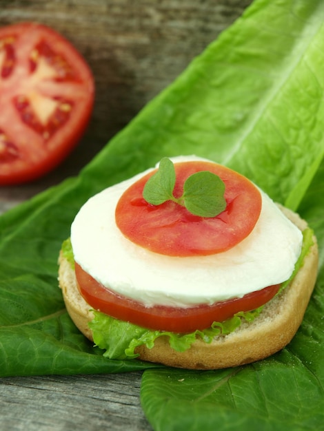 Queijo mussarela e tomate