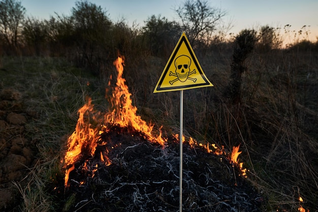 Queima de grama seca e sinal tóxico venenoso triângulo amarelo com crânio e ossos cruzados sinal de alerta sobre substâncias venenosas e perigo no campo com fogo conceito de desastre natural de perigo ecológico