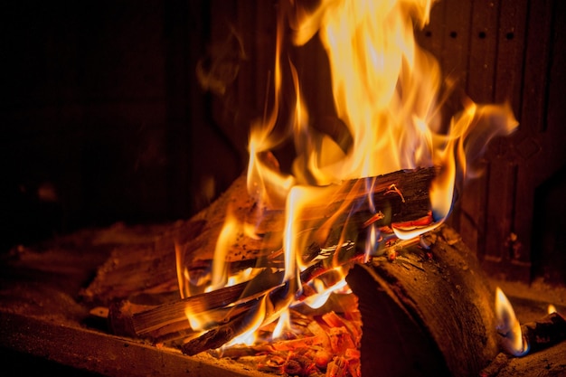 queima de madeira