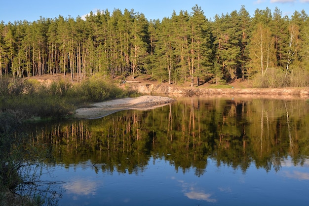 Quellfluss im Nationalpark Meshersky Ryazan Region