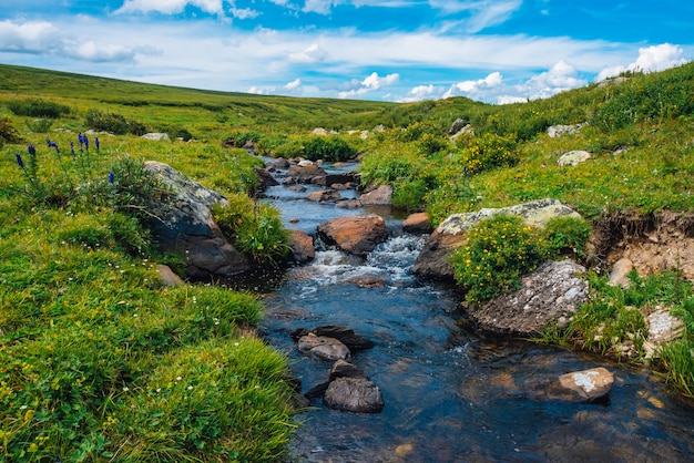 Foto quellwasserstrom im grünen tal am sonnigen tag