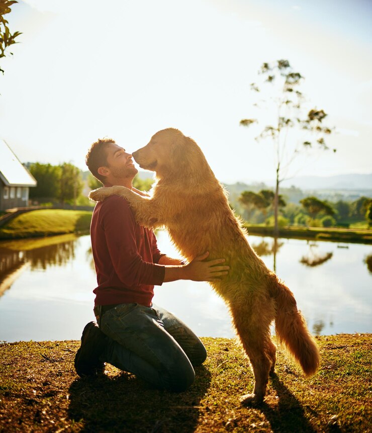 Foto quem é um garotão foto completa de um jovem bonito e seu cachorro passando o dia em um lago no parque