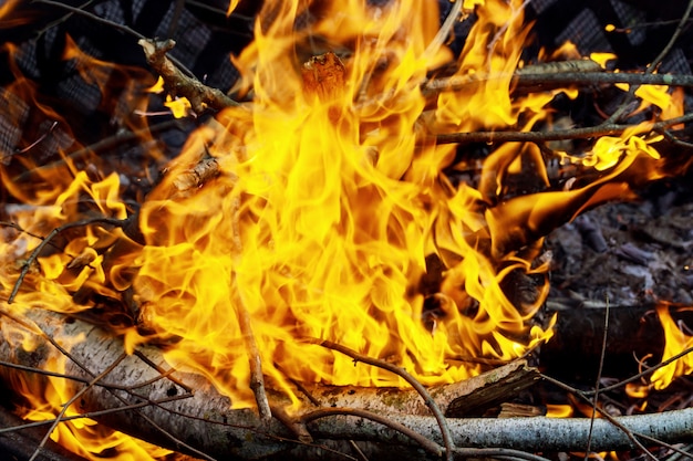 Quema de hierba seca y delgada durante un incendio incendiario, primer plano